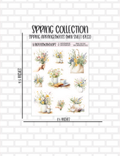 Spring Collection