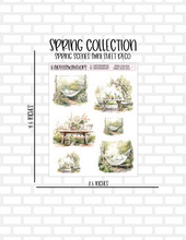 Spring Collection