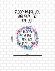 Bloom Where You are Planted Die Cut