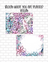 Bloom Where You Are Planted Set of 2 Vellum