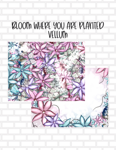 Bloom Where You Are Planted Set of 2 Vellum