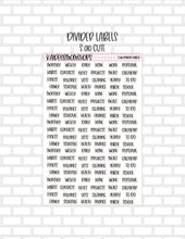 Divider Label Stickers - Standard (S.067) and Cute (S.010)