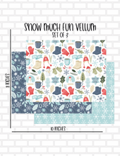 Snow Much Fun Vellum - Set of 3 - 8X10 Sheets