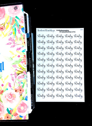 Study Word Fancy Script Sticker Sheet - S226